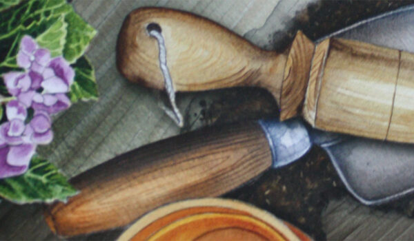 Cottage Garden Brettspiel Spielwiese