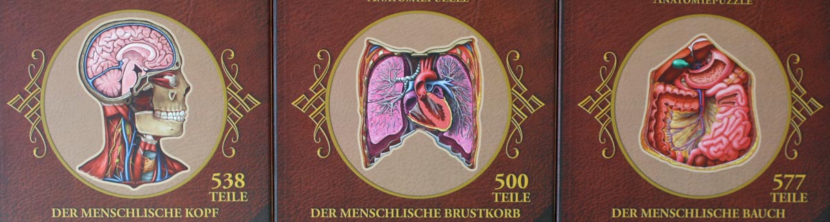 Dr. Livingstons Anatomiepuzzle vom Schwerkraft-Verlag.