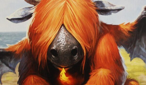 Drachenhüter Kartenspiel von Michael Menzel und Kosmos.