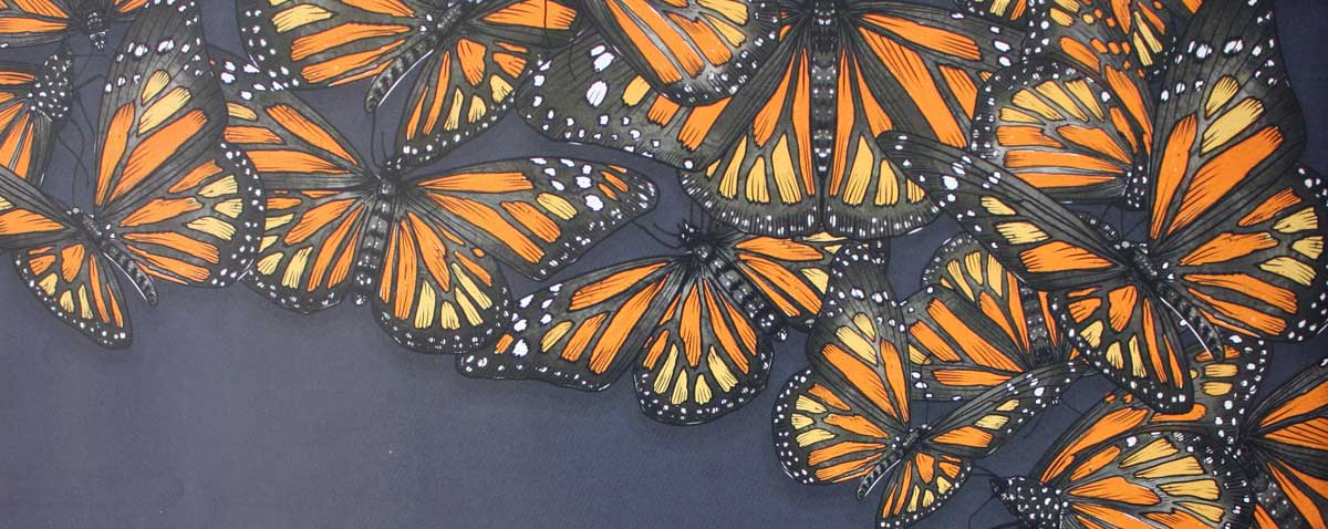 Mariposas Brettspiel von AEG.