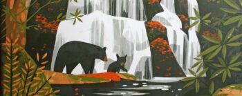 Parks Brettspiel von Feuerland Spiele.