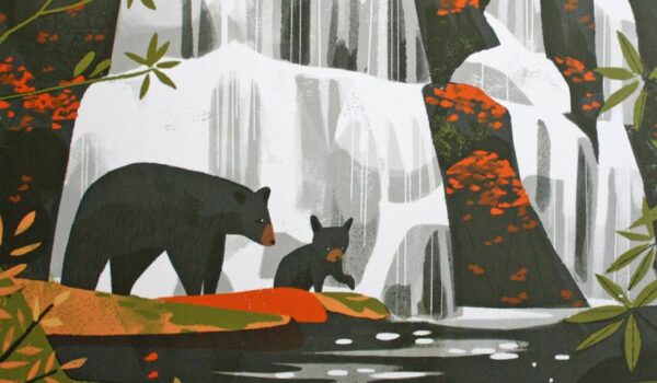 Parks Brettspiel von Feuerland Spiele.